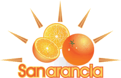 Produzione e vendita di arance e agrumi siciliani