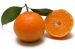 Mandarino tardivo Ciaculli