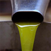 Olio extravergine d'oliva