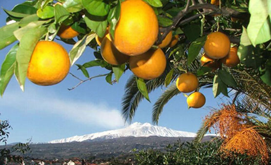 Piana di Catania