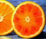 Spicchi d'arance di Sicilia